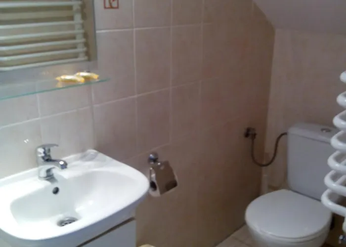 Gosciniec Nad Potokiem 3* كارباش